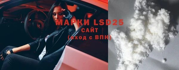 соль ск Новозыбков